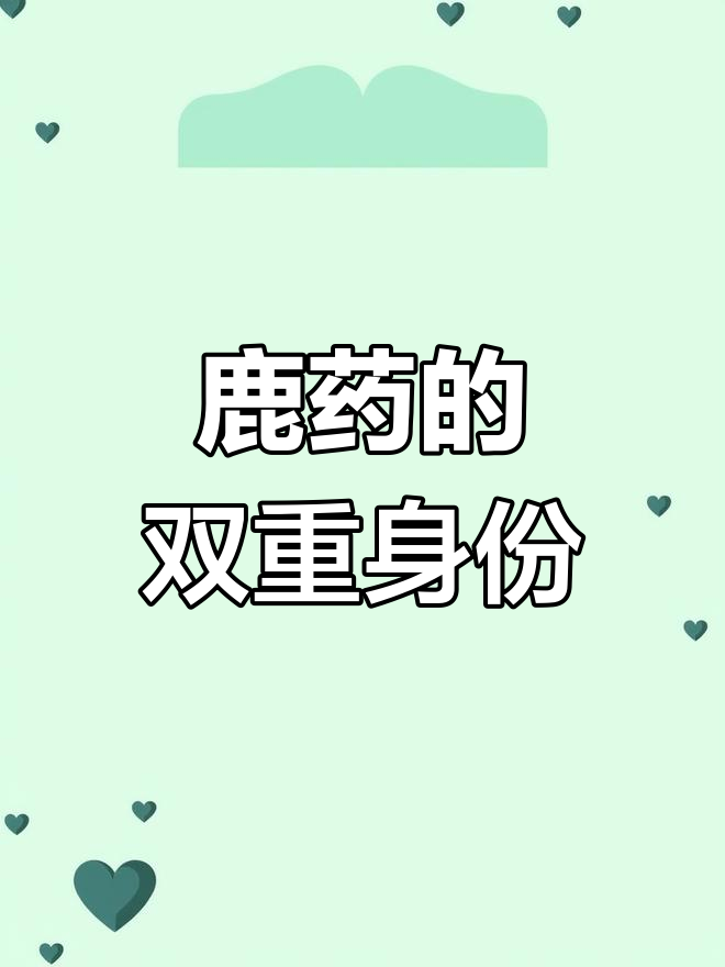 鹿药,美味野菜与珍贵本草,根茎价值非凡