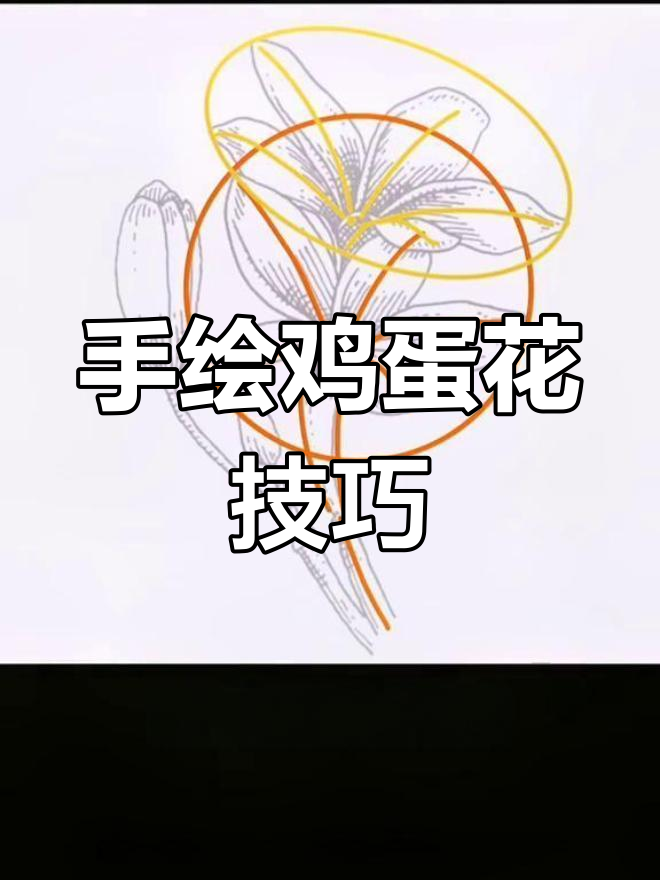 绘制鸡蛋花的过程分享