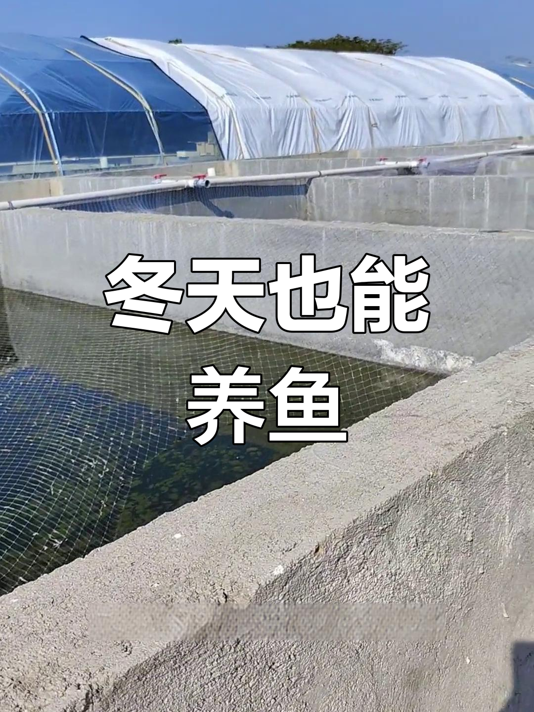 冬季室外鱼池现状