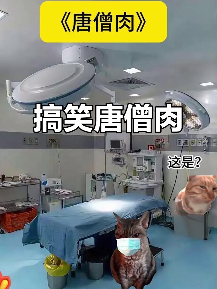 唐僧肉,笑到不行!