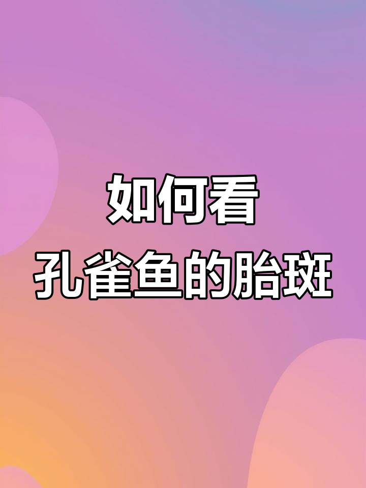 孔雀鱼胎斑变化揭秘，如何判断是否即将生产