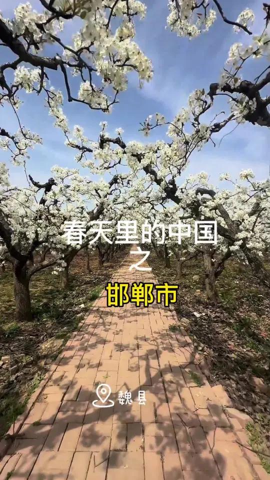 春天里的中国之邯郸市 让我们一起走进春天里中国之邯郸市