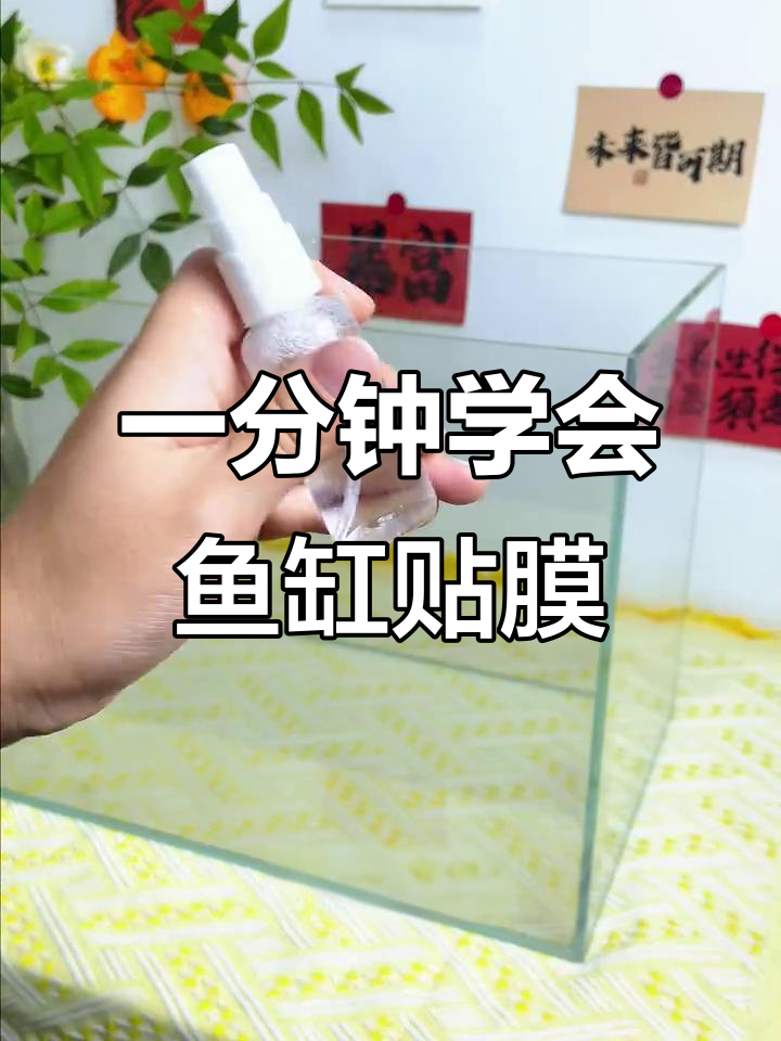 鱼缸背景纸贴膜技巧,轻松搞定不费力