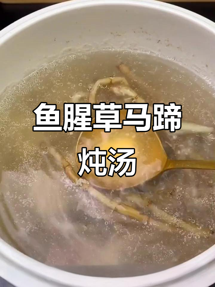 鱼腥草马蹄瘦肉炖汤,广东家常美味轻松做