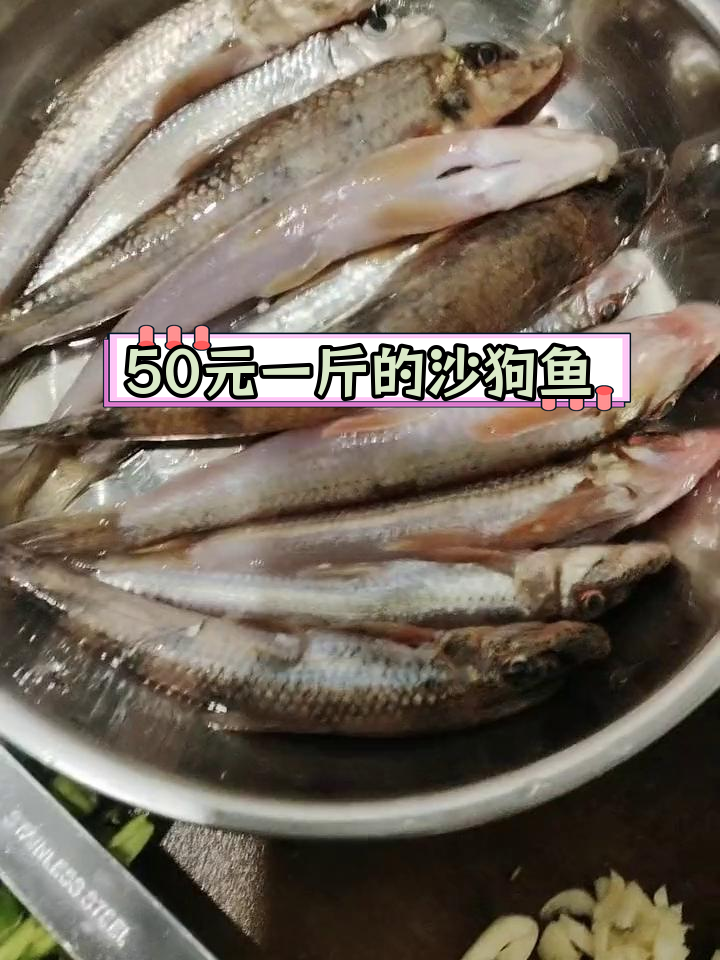 铅山野生沙狗鱼,鲜嫩美味随便吃