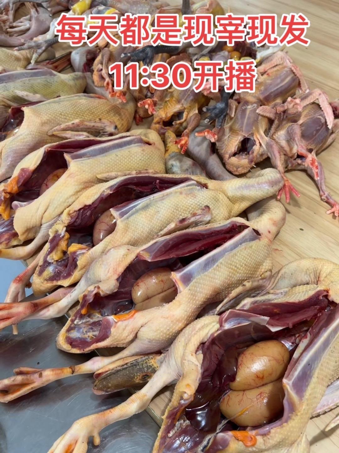 每天都是当天现杀当天发货11:30开播 高端食材 生态散养土鸡 苏北农村 土鸭 老鹅