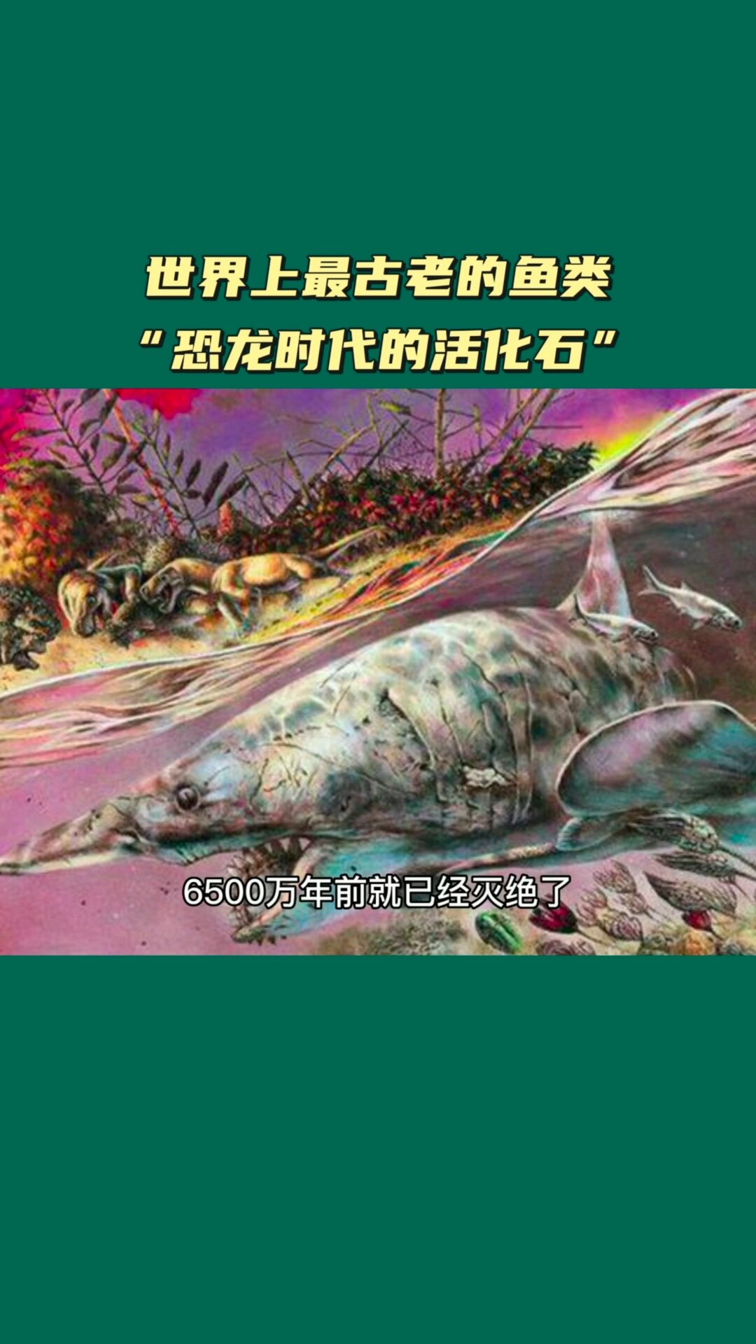 世界上最古老的鱼类恐龙时代的活化石