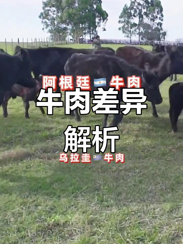 阿根廷与乌拉圭牛肉大比拼,差异揭秘!