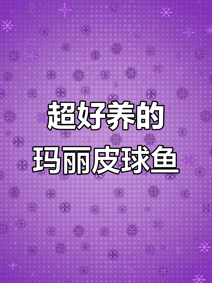 玛丽皮球鱼:超能生,油膜清洁小达人