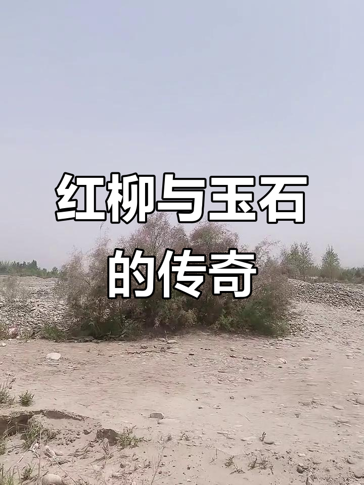 喀拉喀什河旁,玉农挖宝,红柳烤肉香气扑鼻