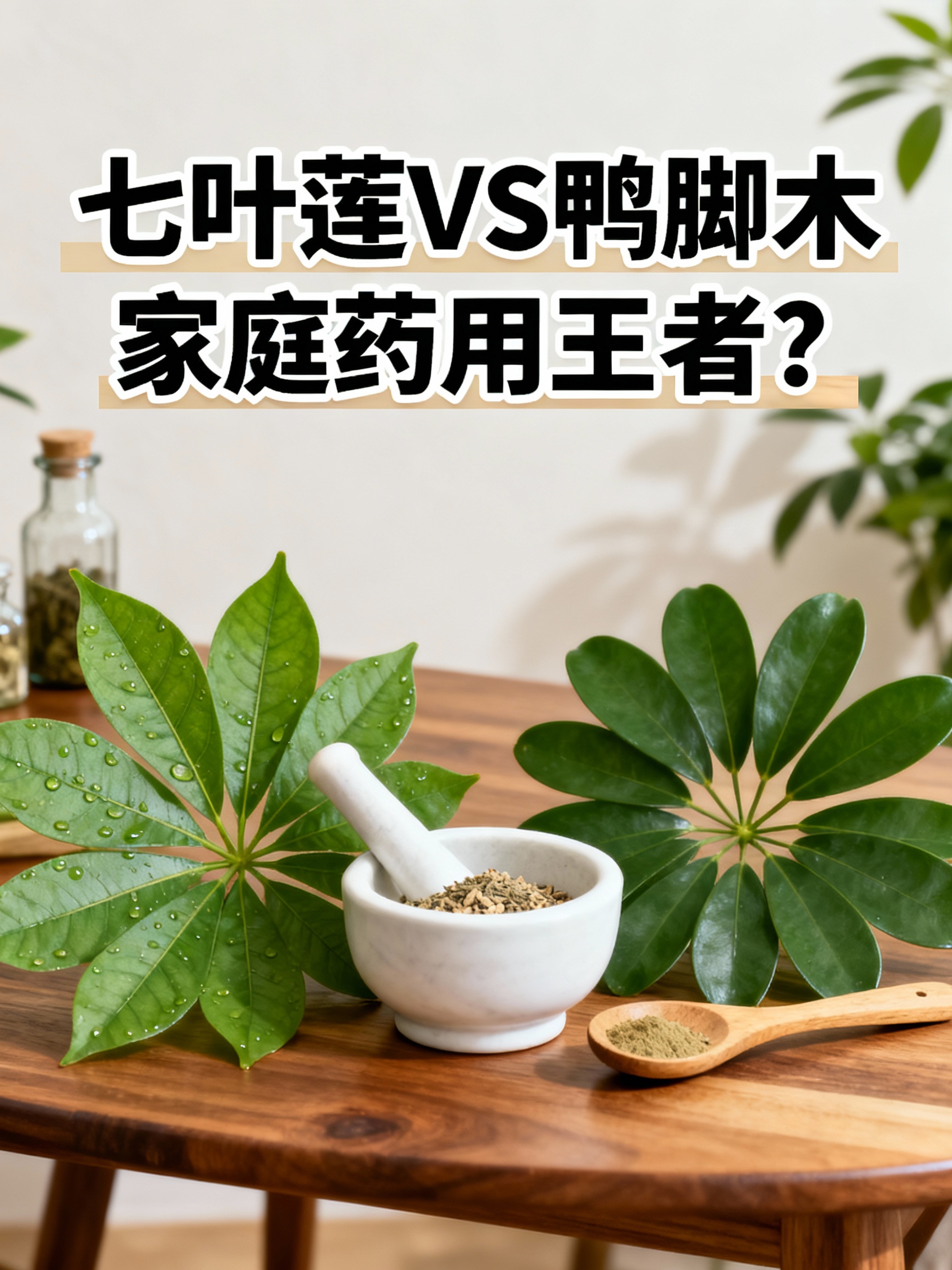 七叶莲和鸭脚木,谁才是真正的家庭药用王者?