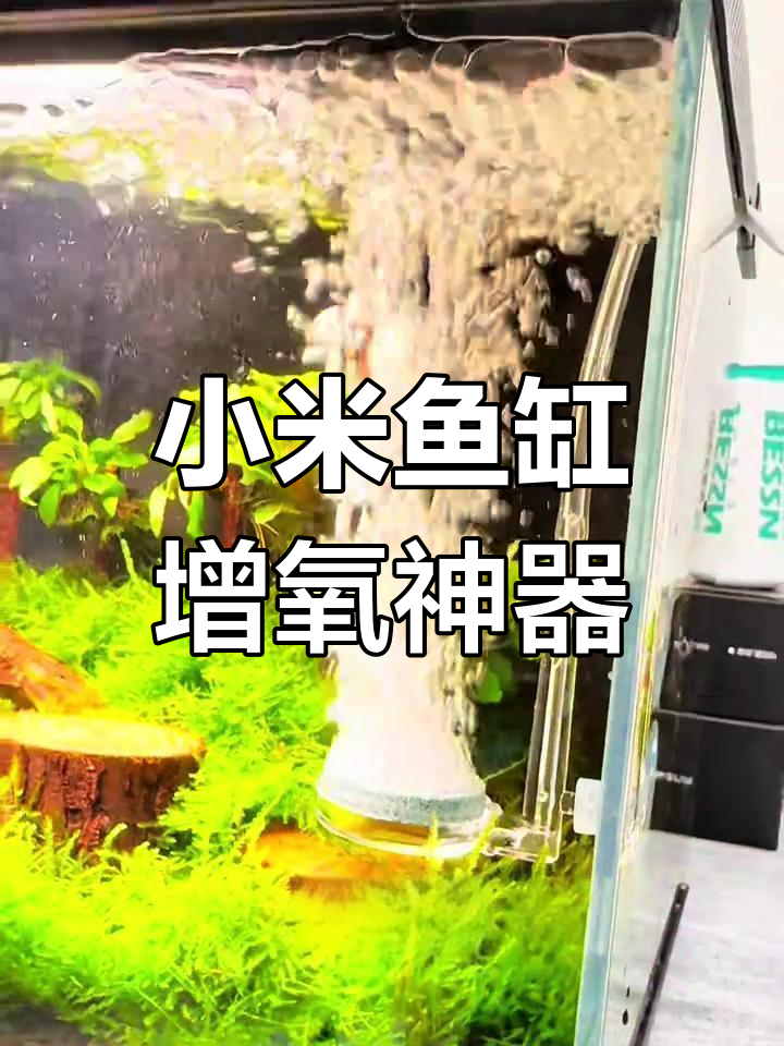 小米鱼缸专用氧气泵,安装简单效果惊人