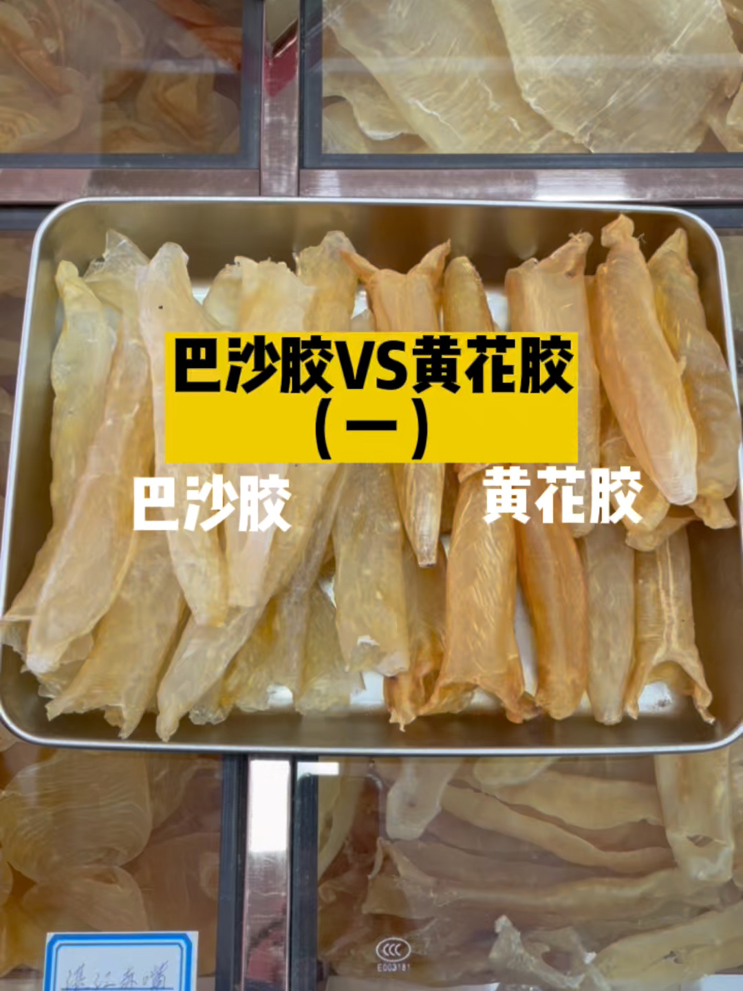 鱼胶避坑!巴沙胶是黄花胶?合成鱼胶?假胶?