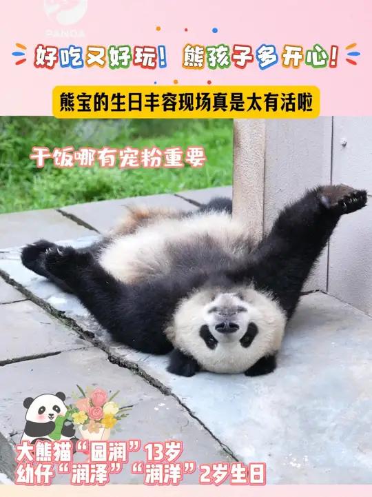 「大熊猫生日丰容好吃又好玩」熊宝的生日丰容现场惊喜多多,快来一起围观国宝的生日派对吧!