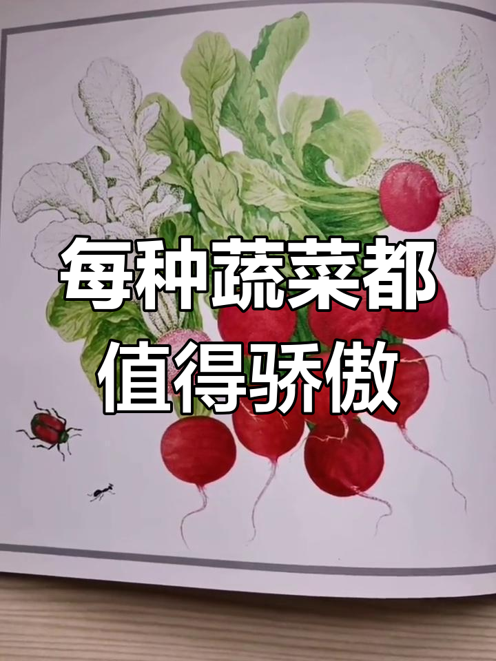 蔬菜宝宝们的独特魅力