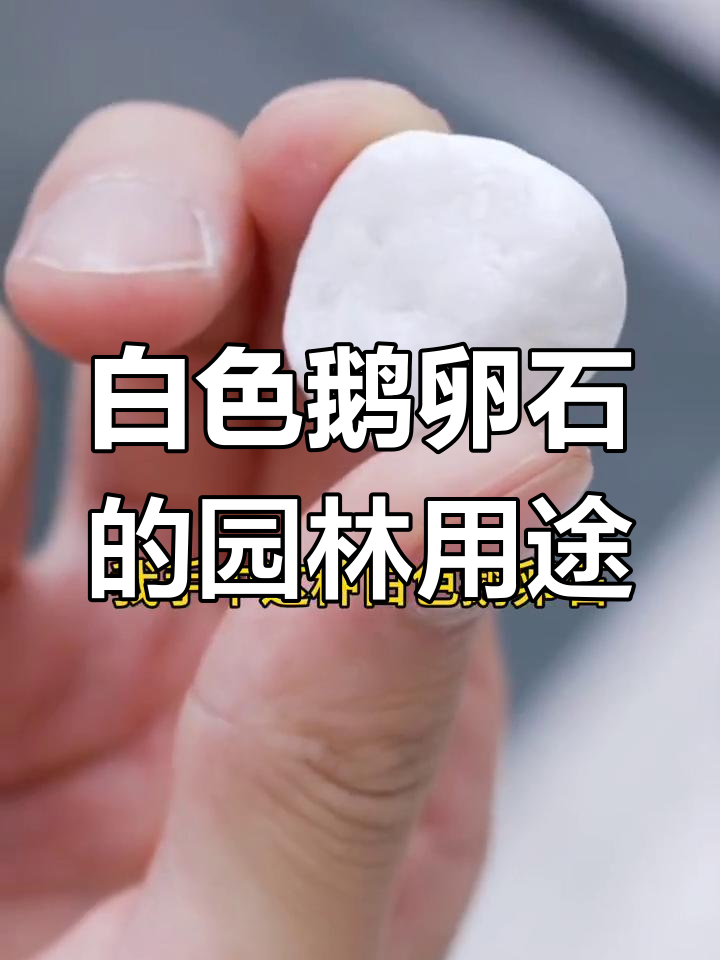 天然白色鹅卵石:庭院装饰的理想选择