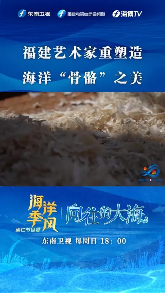 「福建艺术家重塑造海洋“骨骼”之美」林翰冰以鱼骨作画,让枯骨生花;杨彧铸蟹形雕塑,诠纵横意