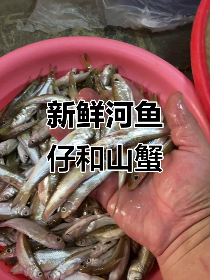上海新鲜河鱼仔与山螃蟹,快来尝鲜!