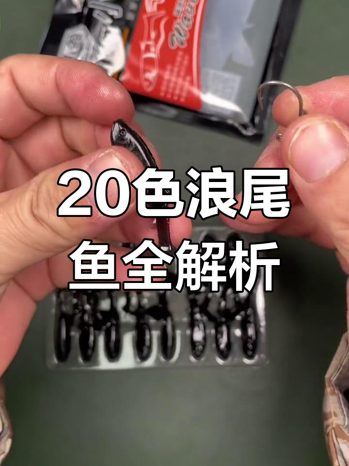 20种颜色浪尾鱼大揭秘,黑色最适合低光环境