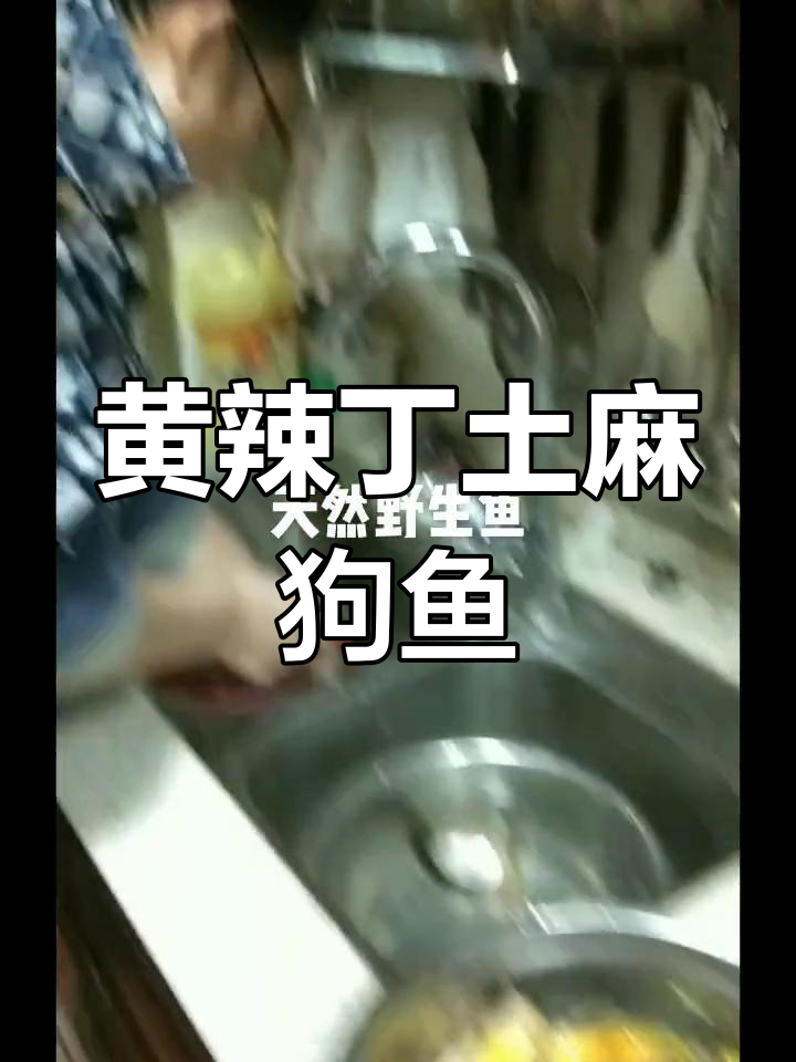 纯天然野生黄辣丁,口感绝佳