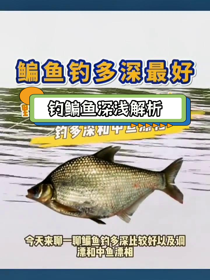钓鳊鱼的最佳深度与调漂技巧