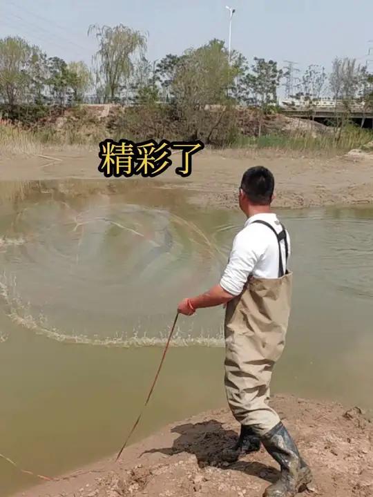 河道清淤抽干了,沟子里全是鱼,刚子一网打下去精彩了