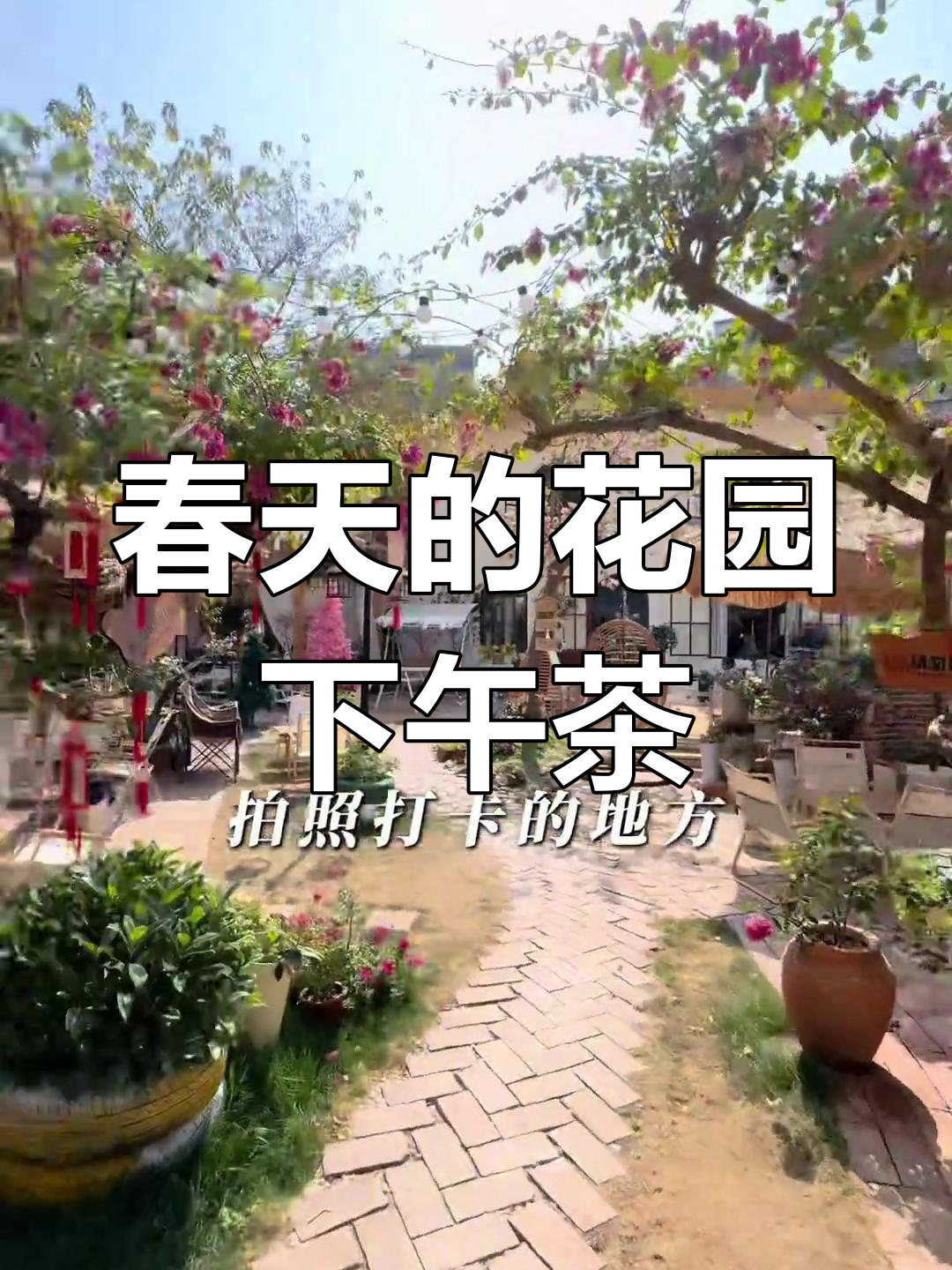 春天里的浪漫花园下午茶,万达附近超美小院等你来打卡