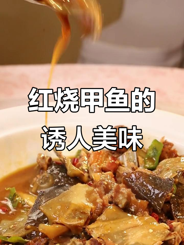 秋冬必备!红烧甲鱼,鲜香软糯让人无法抗拒