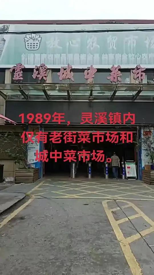 1989年,灵溪镇内仅有老街菜市场和城中菜市场。该市场位于灵溪镇城中路,2005年占地面积