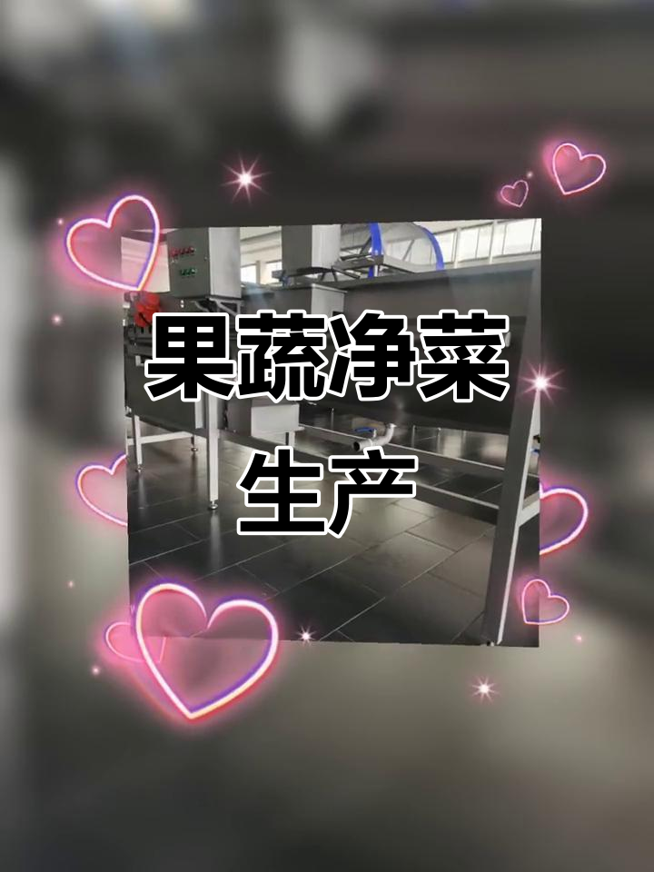 净菜生产线，专业制造预制半成品果蔬