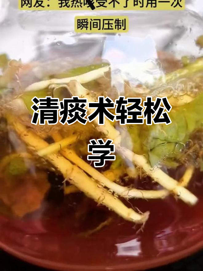 古人智慧:20秒学会清痰术,鱼腥草与罗汉果的神奇搭配