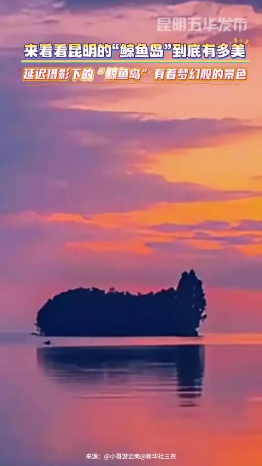 延迟摄影下的“鲸鱼岛”有着梦幻般的景色