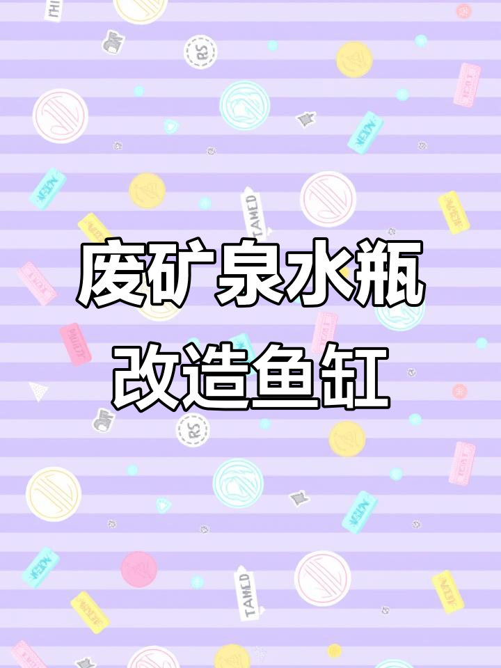 矿泉水桶变鱼缸,轻松换水又环保