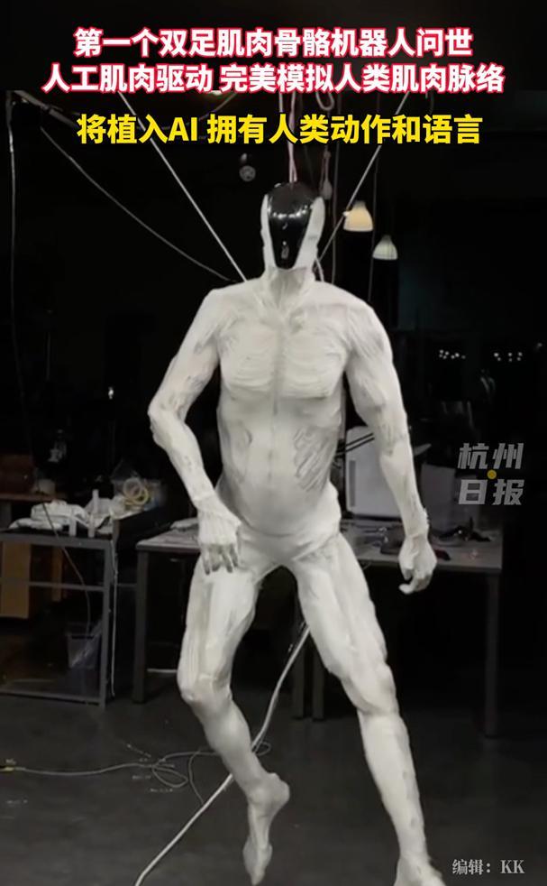 世界第一个双足肌肉骨骼机器人诞生,完美模拟人类肌肉肌群