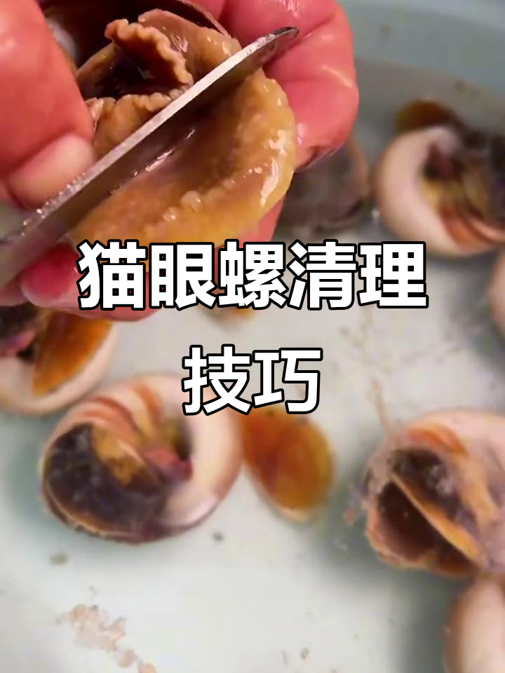 猫眼螺去沙全攻略,轻松清洗每一处