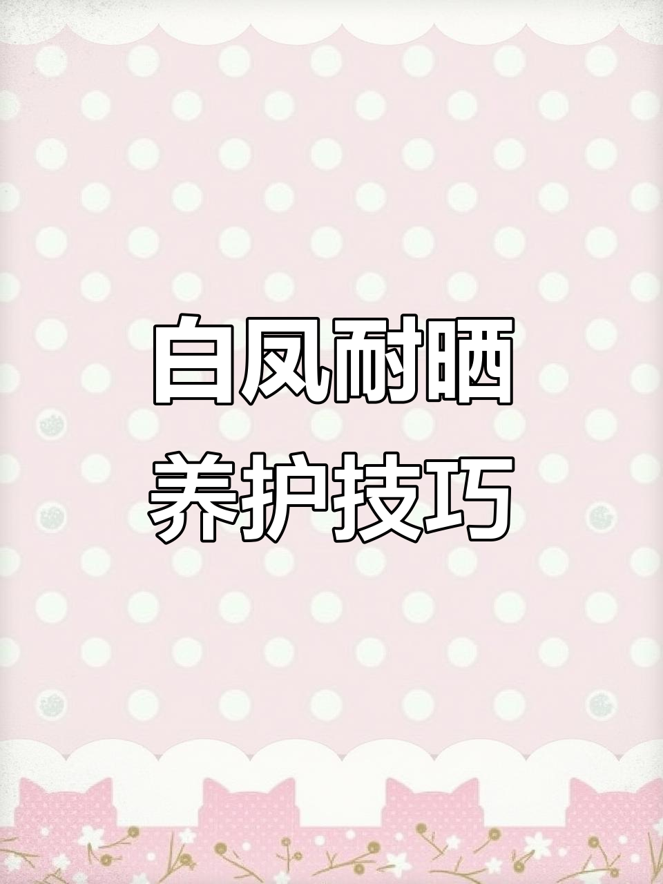 露养白凤多肉,轻松过夏的秘诀
