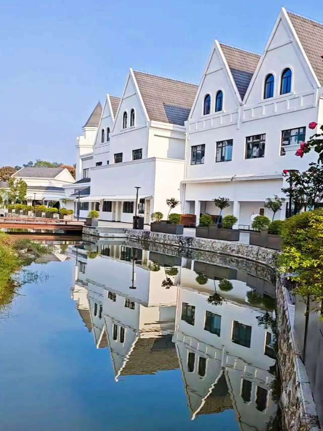 原创视频 手机摄影 上热搜 旅行推荐官 京山天沐温泉酒店 一天到晚游泳的鱼
