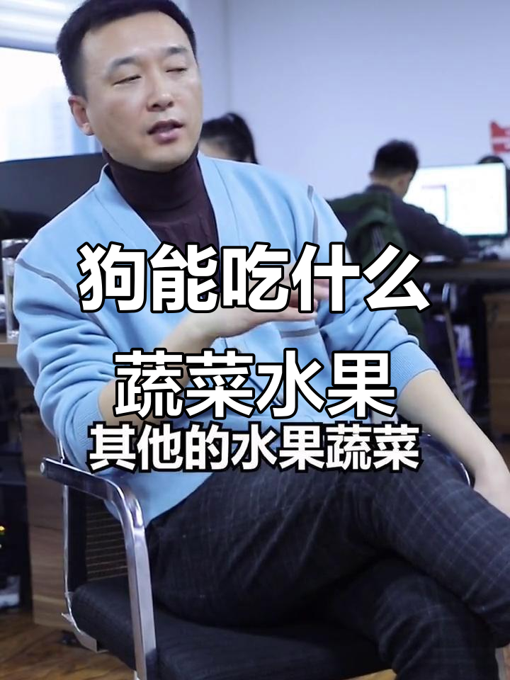 狗狗吃水果蔬菜到底有没有用?了解真相