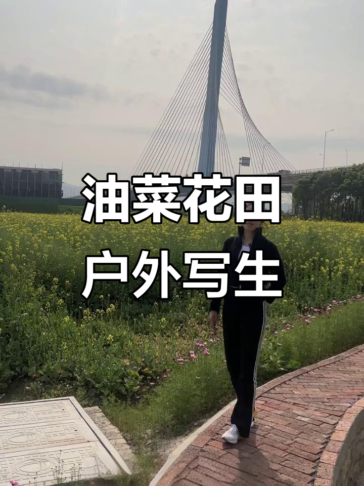 沙洲岛油菜花田户外写生,感受自然与美的碰撞