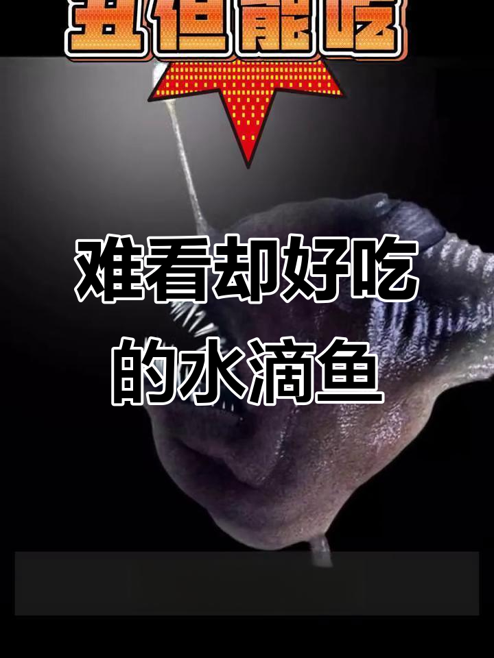 水滴鱼长得太丑,竟然能吃!看这些“怪物”如何变成美食