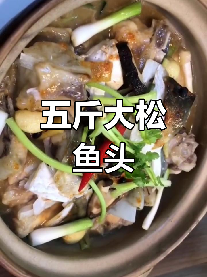 五斤水库松鱼头,一半做鱼头堡,超美味!