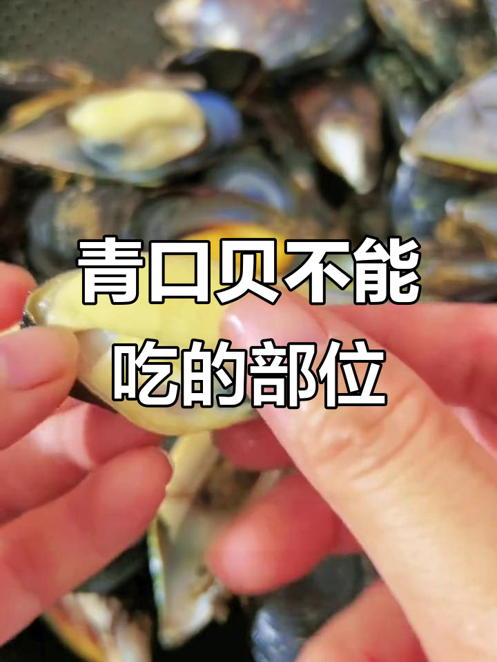 青口贝哪些部分不能吃?鲜美又便宜,快来了解一下