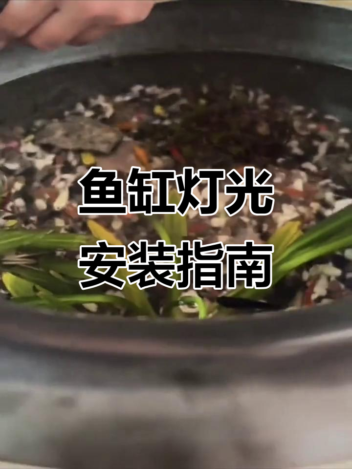 古法鱼缸灯带安装技巧,防水耐用,插电即亮