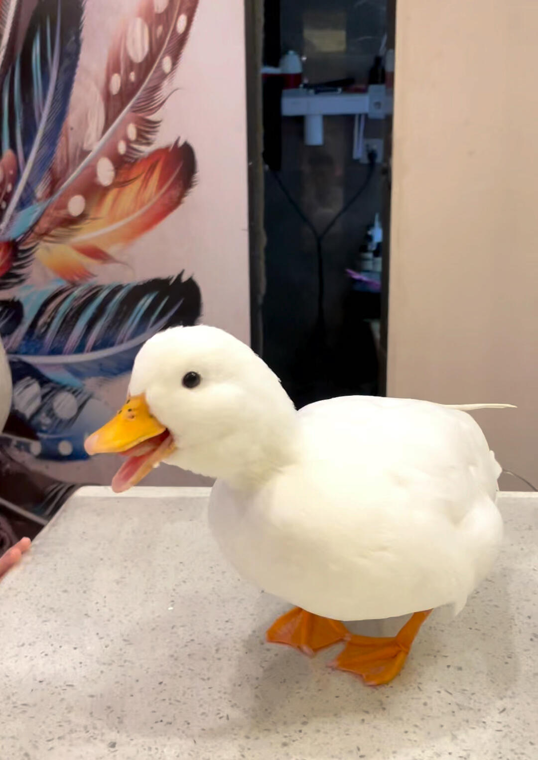 分享视频