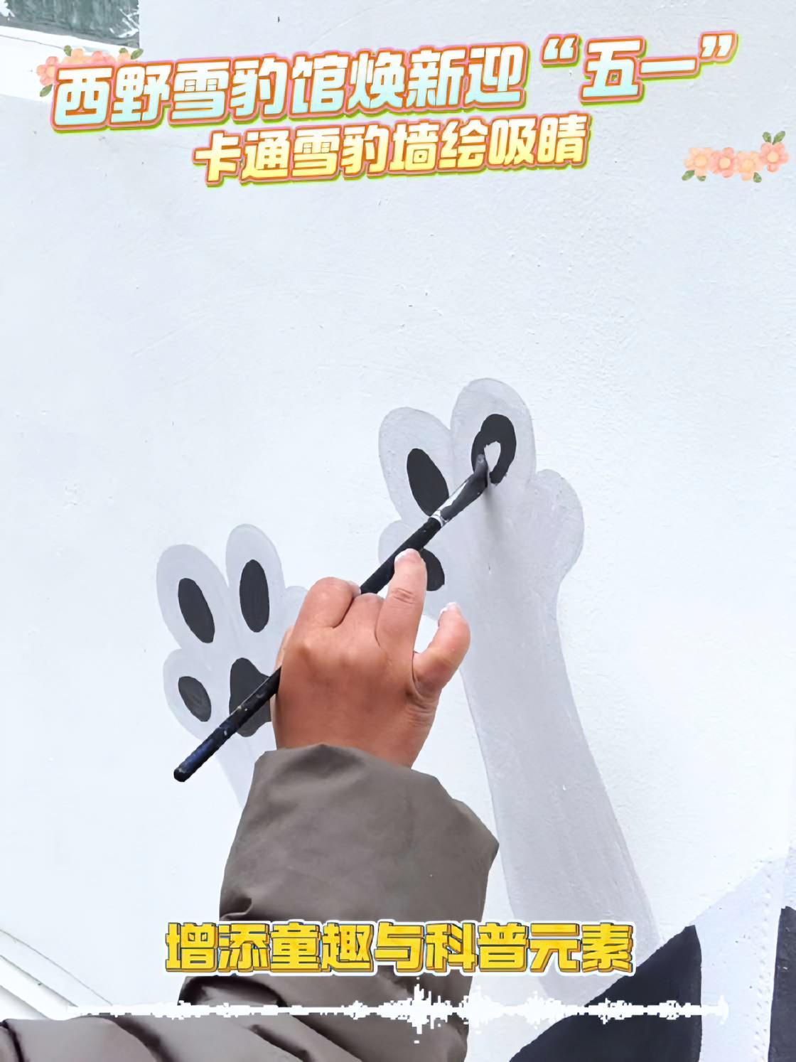 西野雪豹馆焕新迎“五一” 卡通雪豹墙绘等你来打卡 凌小蜇 雪豹之都 西野