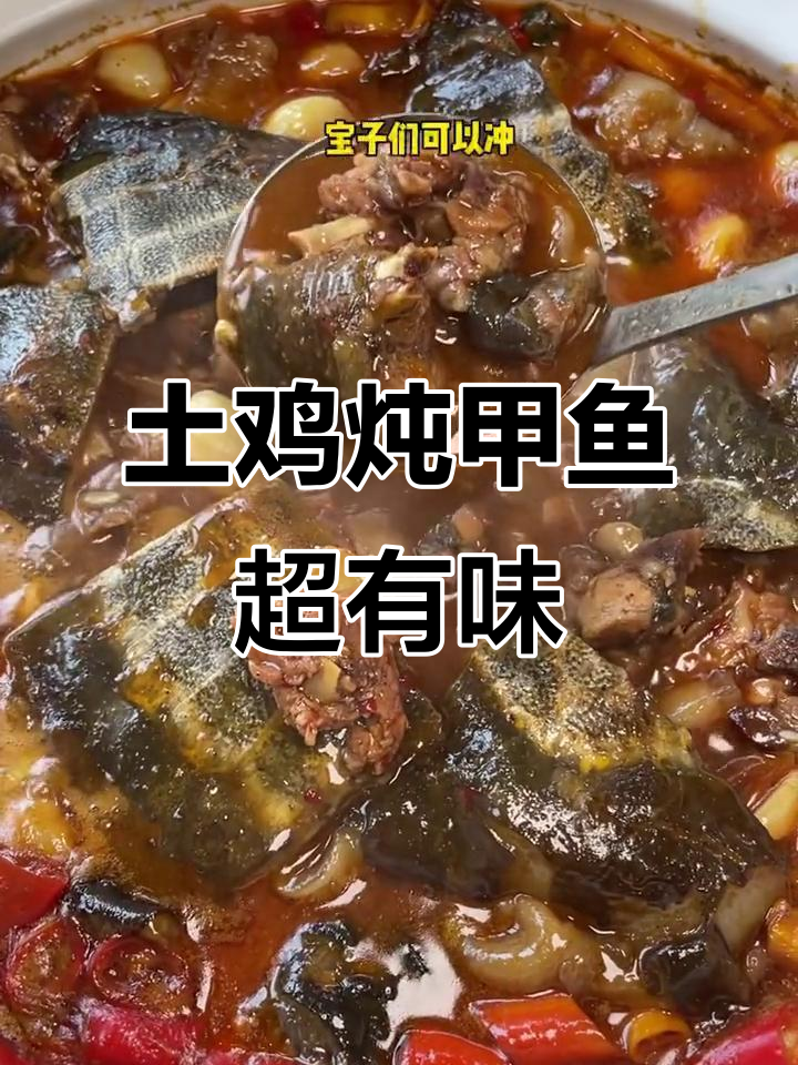 长沙暮云土鸡炖甲鱼,鲜嫩美味不容错过