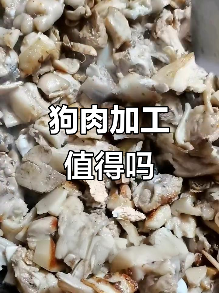 加工狗肉值不值?餐饮人揭秘背后真相