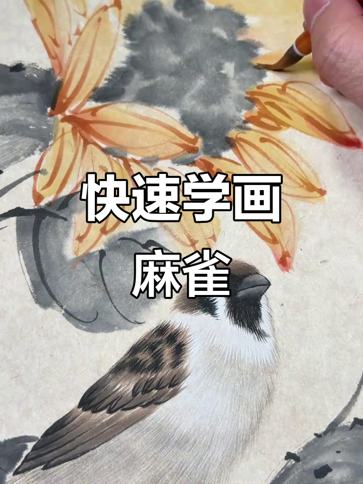 一分钟学会画麻雀,简单又好玩