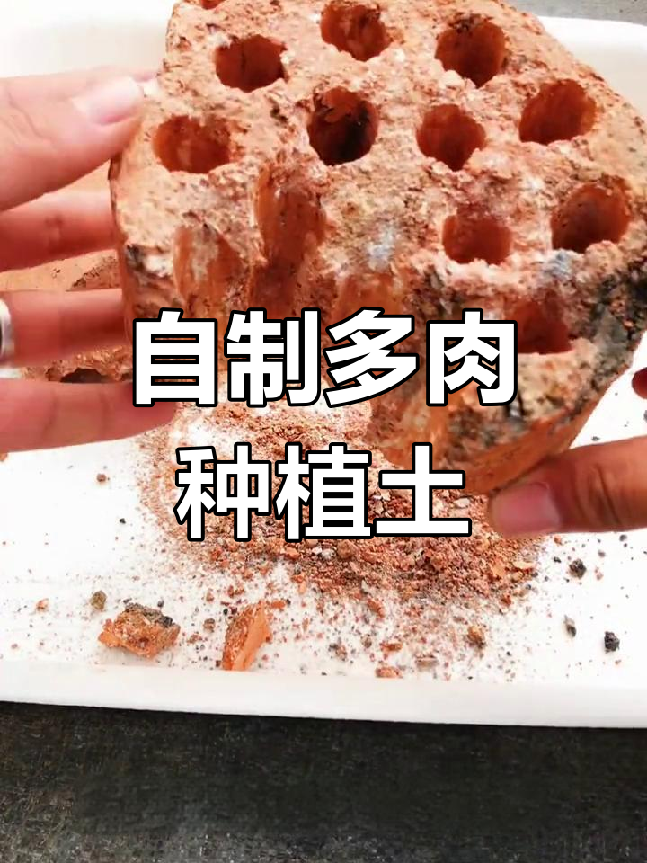 多肉土自制方法,轻松学会!