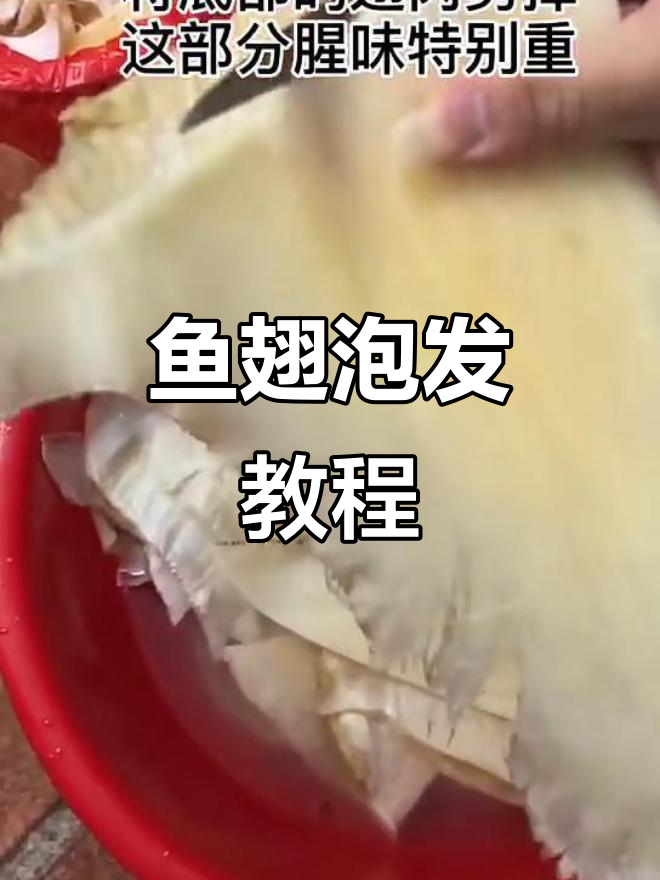 鱼翅泡发全流程,轻松掌握技巧